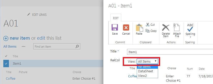 Show view selector checkbox that adds a view dropdown to the list item Edit form