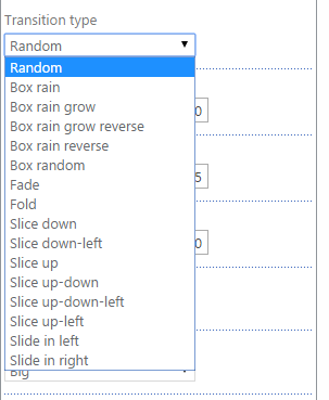 Transition type dropdown for selecting the Virto Image Slider animation