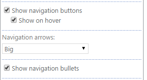 Interval, animation speed and Show navigation buttons options in transitions settings