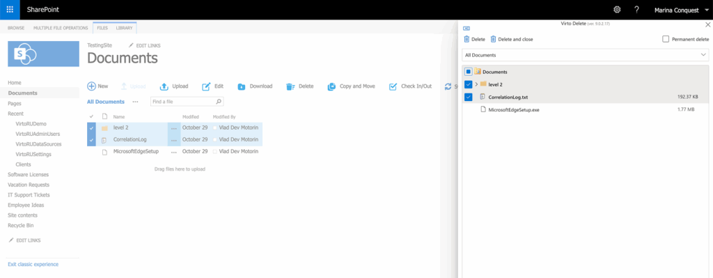 Virto bulk Delete window showing selected files for review with the Delete button in the upper-left